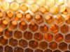 1_12-Honeycomb