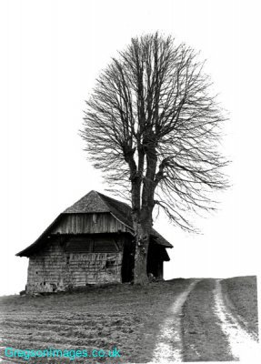 21bw-house-and-tree-in-switzerland