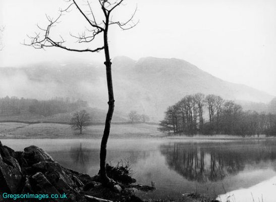 43bw-by-rydal-water-cumbria