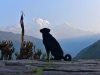 375-The-dog-and-the-mountain