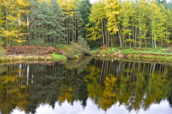 210-Reflections-of-Autumn-around-Codbeck-Reservoir