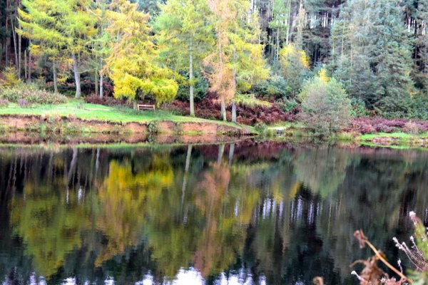 212-Reflections-of-Autumn-around-Codbeck-Reservoir