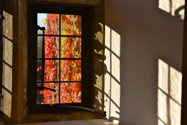 248-Autumn-Window-