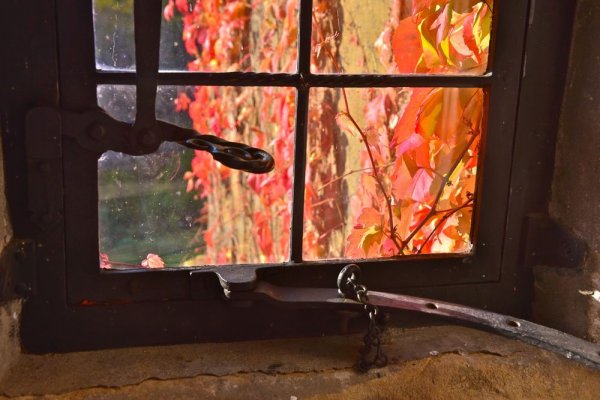 251-Autumn-Window-