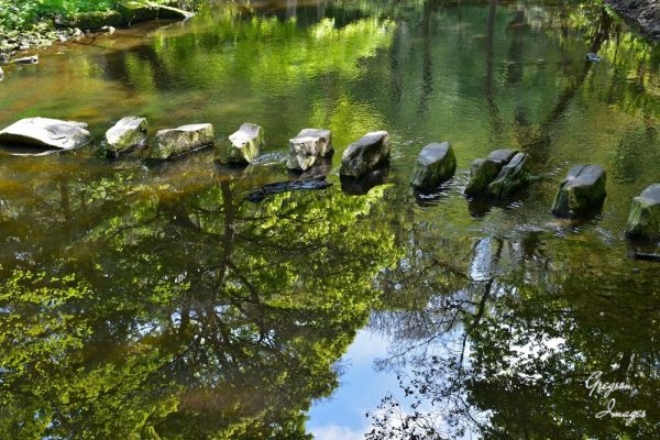 1_366-Stepping-Stones-across-the-River-Don